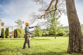 Best Arborist Consultation Services  in Pensacola, FL