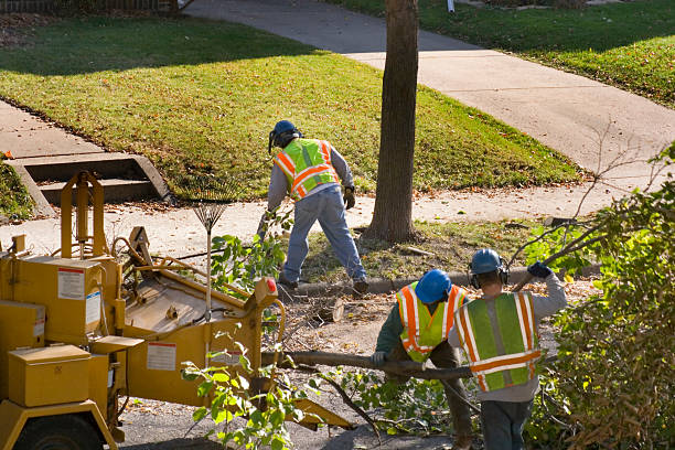 Best Lawn Irrigation Installation and Maintenance  in Pensacola, FL